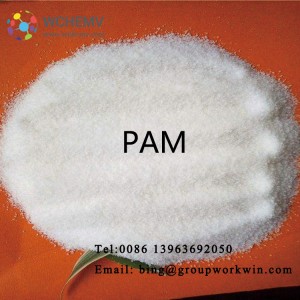 Industry Water Treatment PAM