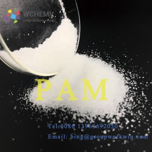 chemical pam in papermaking dispersing agent anionic polyacrylamide pam