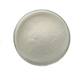 High Quality Dibenzoyl peroxide CAS 94-36-0 with Best Price