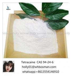 Factory Supply Free Sample Local Anesthetic Tetracaina Tetracaine Powder, Tetracaine CAS 94-24-6