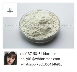 .99% Local Anesthetic Xylocaine /Lidocaine Base CAS 137-58-6 for Pain Killer